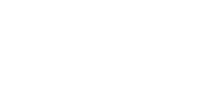 witte leadinfo logo